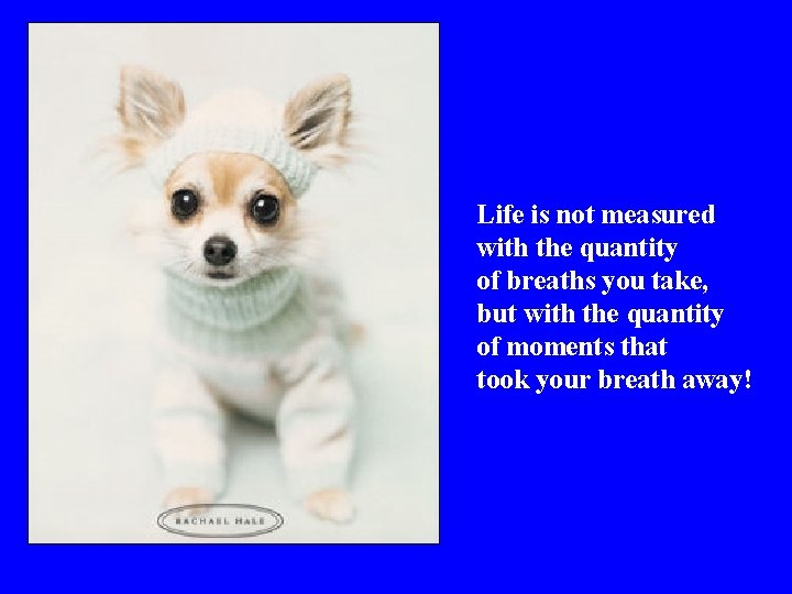 Life is not measured with the quantity of breaths you take, but with the