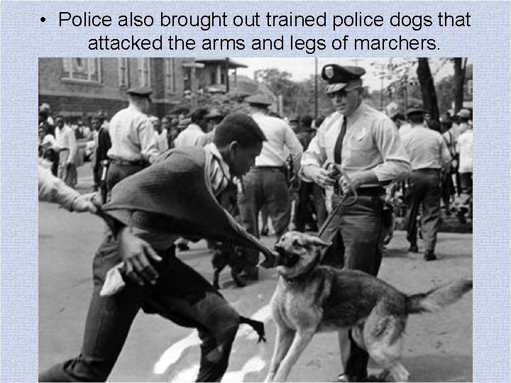  • Police also brought out trained police dogs that attacked the arms and
