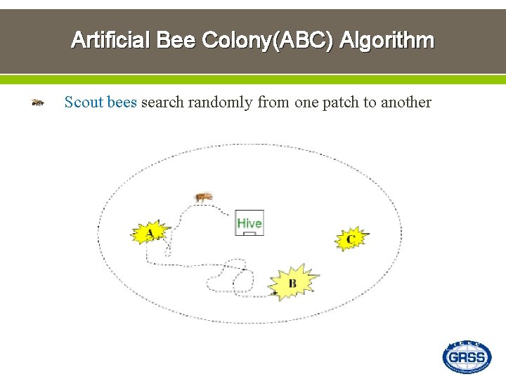 Artificial Bee Colony(ABC) Algorithm Scout bees search randomly from one patch to another 12