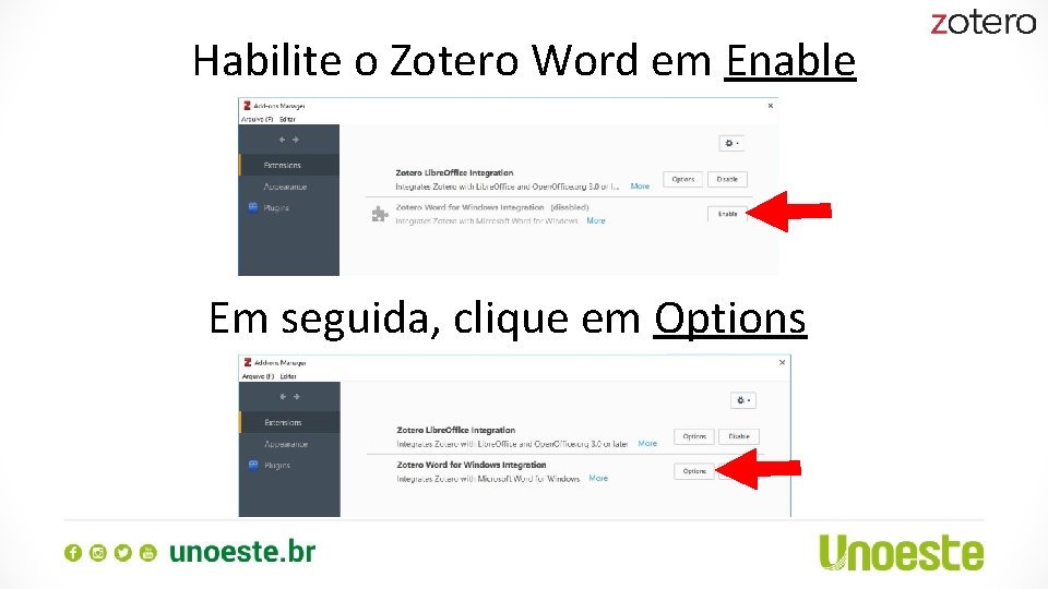 Habilite o Zotero Word em Enable Em seguida, clique em Options 