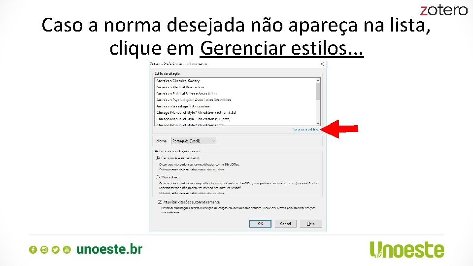 Caso a norma desejada não apareça na lista, clique em Gerenciar estilos. . .