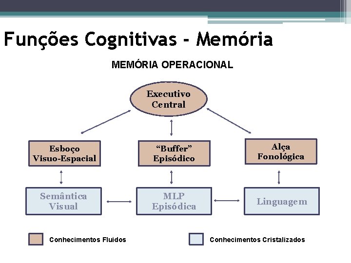 Funções Cognitivas - Memória MEMÓRIA OPERACIONAL Executivo Central Esboço Visuo-Espacial “Buffer” Episódico Alça Fonológica