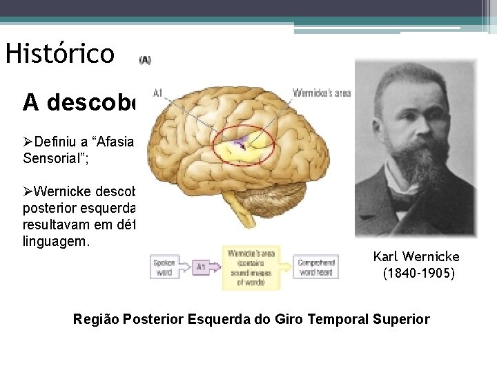 Histórico A descoberta de Wernicke ØDefiniu a “Afasia de Wernicke” ou “Afasia Sensorial”; ØWernicke