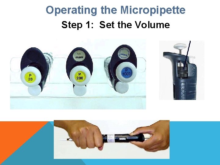 Operating the Micropipette Step 1: Set the Volume Examples of Pipettors: Digital Volume Indicator: