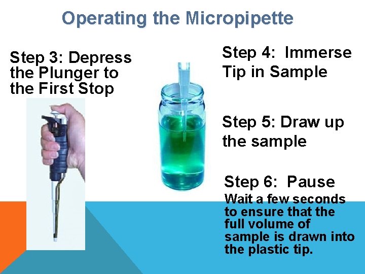 Operating the Micropipette Step 3: Depress the Plunger to the First Stop Step 4: