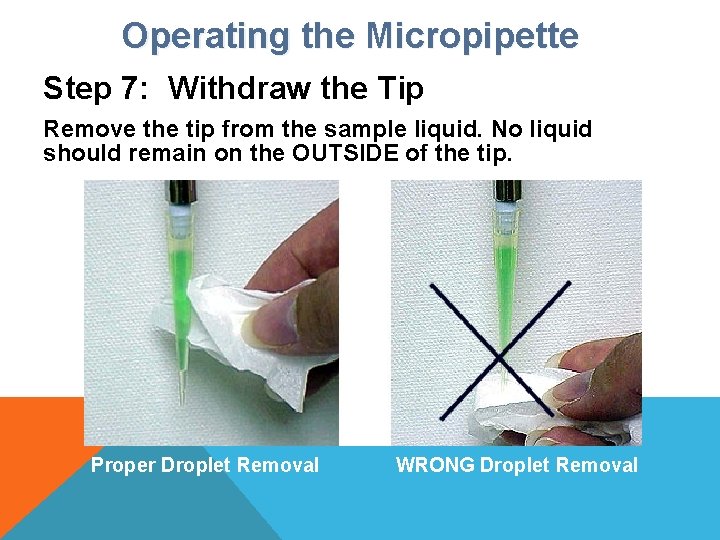 Operating the Micropipette Step 7: Withdraw the Tip Remove the tip from the sample