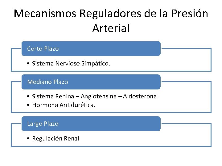 Mecanismos Reguladores de la Presión Arterial Corto Plazo • Sistema Nervioso Simpático. Mediano Plazo