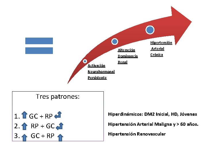 Alteración Dominancia Activación Neurohormonal Hipertensión Arterial Crónica Renal Persistente Tres patrones: 1. GC +