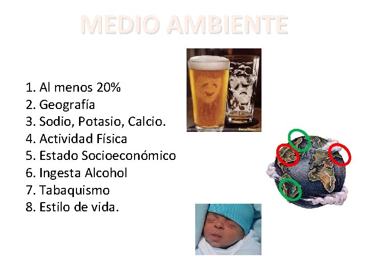 MEDIO AMBIENTE 1. Al menos 20% 2. Geografía 3. Sodio, Potasio, Calcio. 4. Actividad