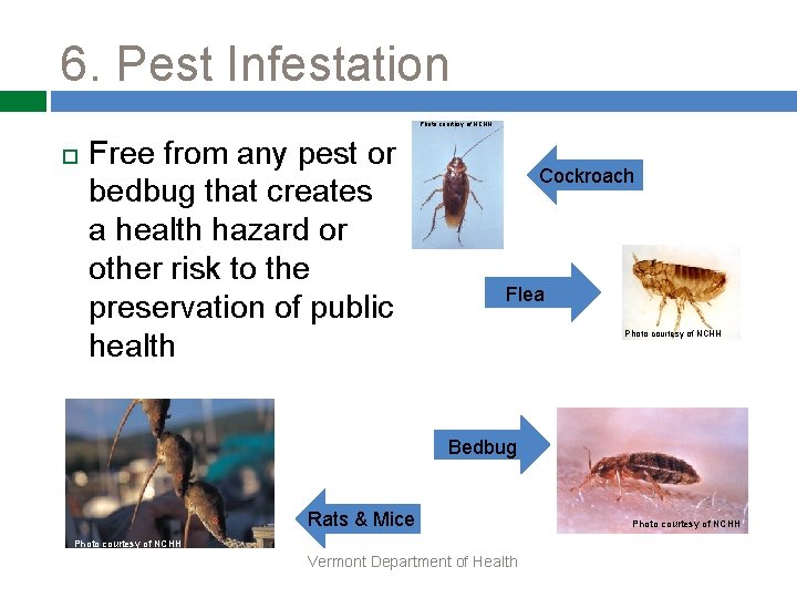 6. Pest Infestation Photo courtesy of NCHH Free from any pest or bedbug that