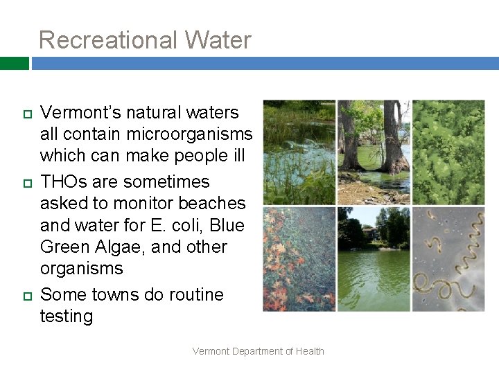 Recreational Water Vermont’s natural waters all contain microorganisms which can make people ill THOs