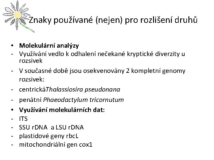  Znaky používané (nejen) pro rozlišení druhů • Molekulární analýzy - Využívání vedlo k