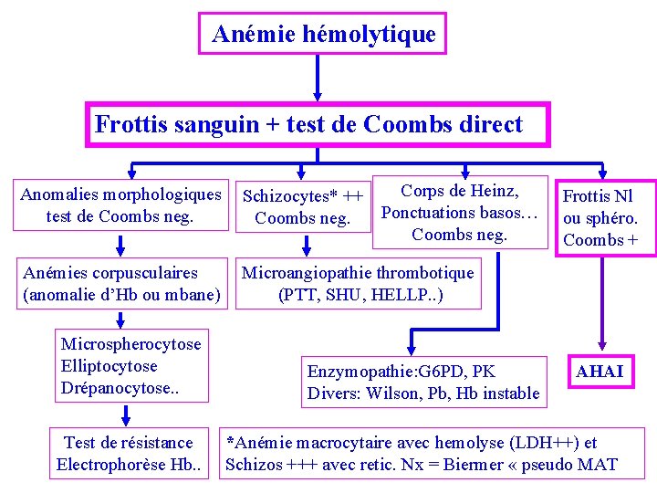  Anémie hémolytique Frottis sanguin + test de Coombs direct Anomalies morphologiques test de