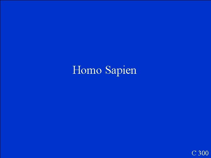 Homo Sapien C 300 