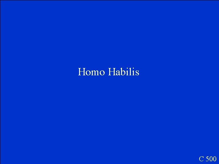 Homo Habilis C 500 