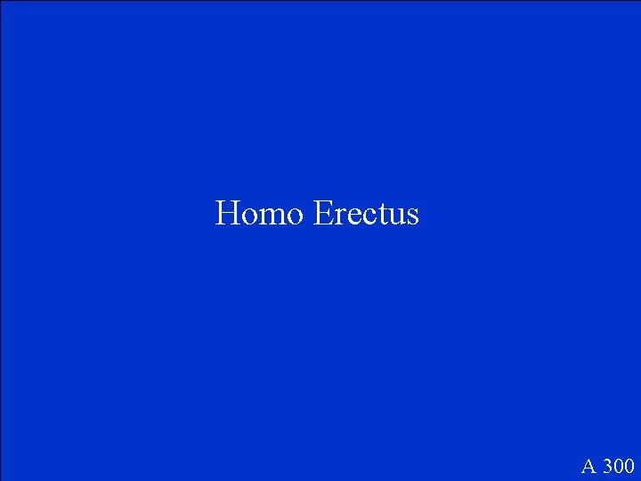 Homo Erectus A 300 