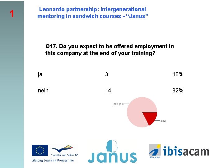 1 Leonardo partnership: intergenerational mentoring in sandwich courses - “Janus” Q 17. Do you