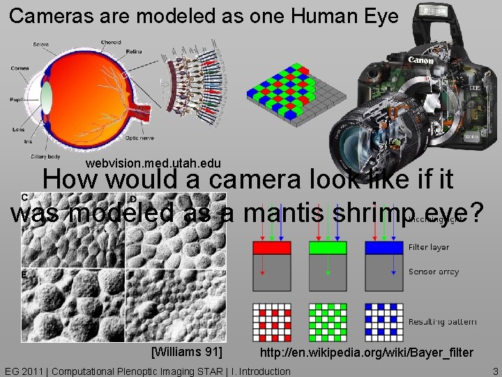 Cameras are modeled as one Human Eye webvision. med. utah. edu How would a