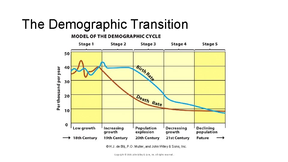 The Demographic Transition © H. J. de Blij, P. O. Muller, and John Wiley