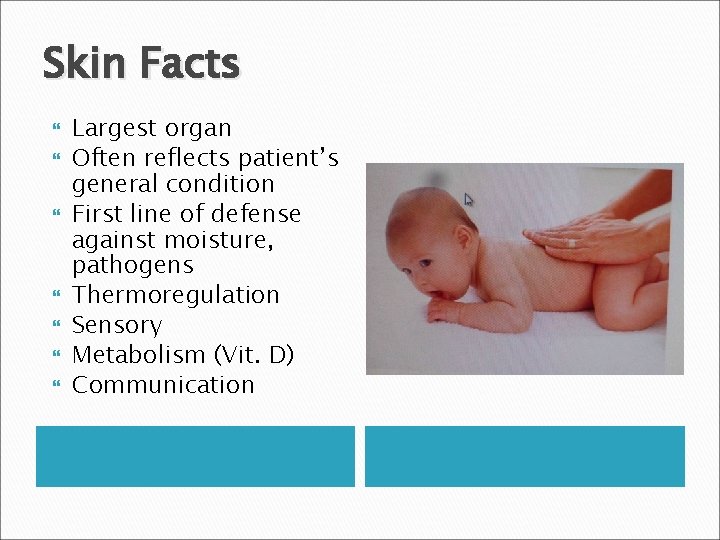 Skin Facts Largest organ Often reflects patient’s general condition First line of defense against