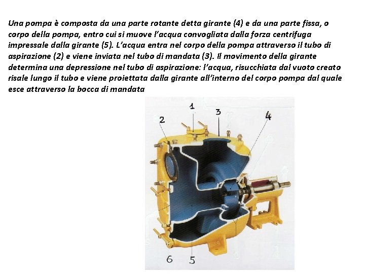 Una pompa è composta da una parte rotante detta girante (4) e da una