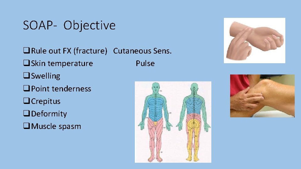 SOAP- Objective q. Rule out FX (fracture) Cutaneous Sens. q. Skin temperature Pulse q.