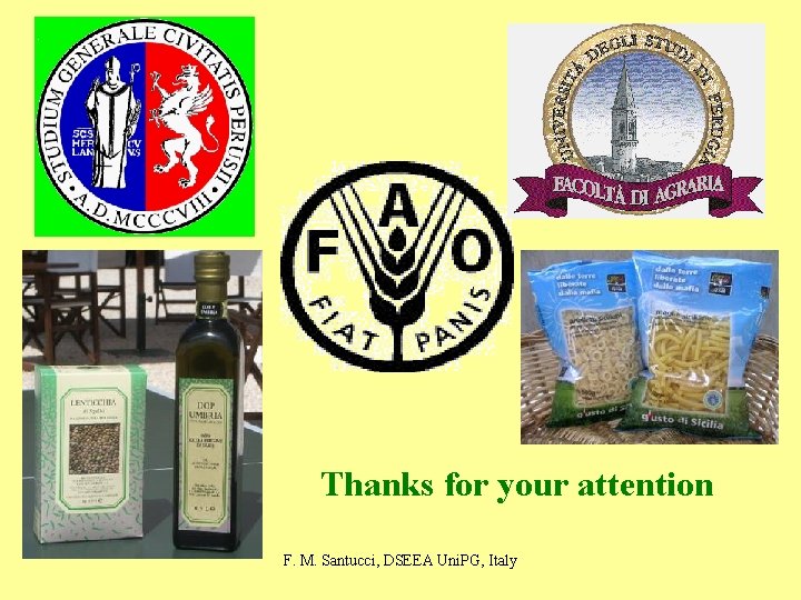 Thanks for your attention F. M. Santucci, DSEEA Uni. PG, Italy 