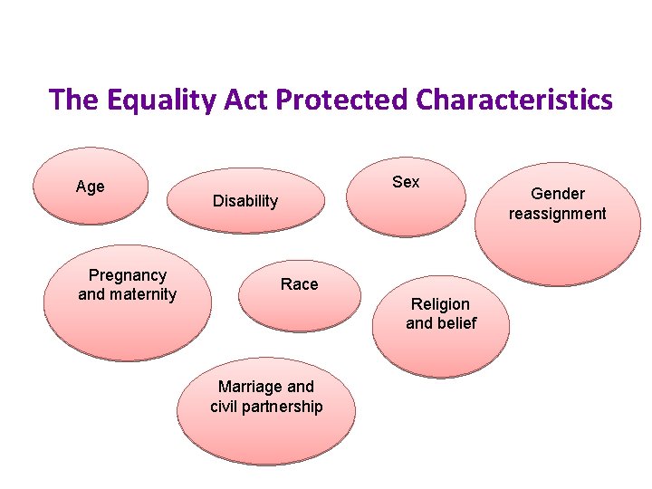 The Equality Act Protected Characteristics Age Pregnancy and maternity Sex Disability Race Religion and