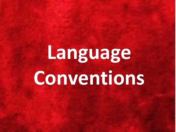 Language Conventions 