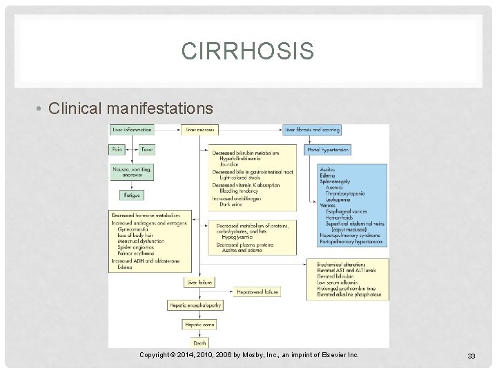 CIRRHOSIS • Clinical manifestations Copyright © 2014, 2010, 2006 by Mosby, Inc. , an