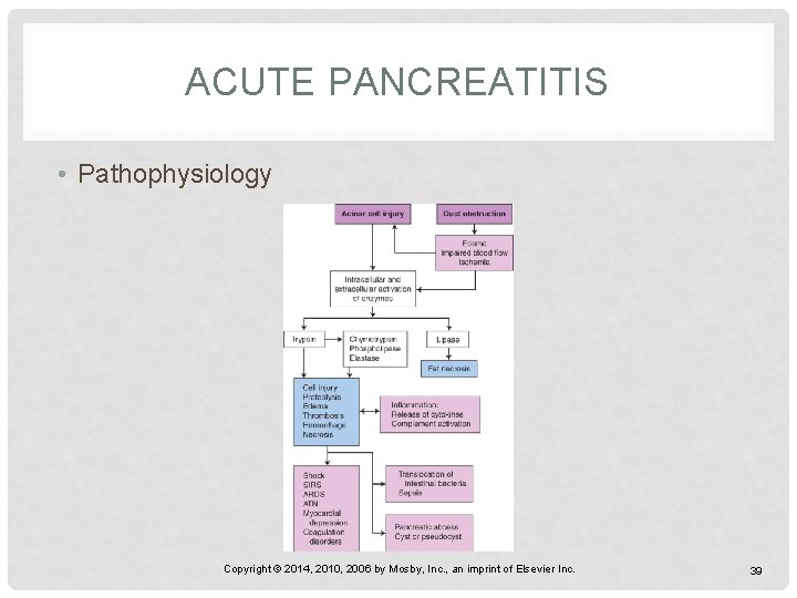 ACUTE PANCREATITIS • Pathophysiology Copyright © 2014, 2010, 2006 by Mosby, Inc. , an