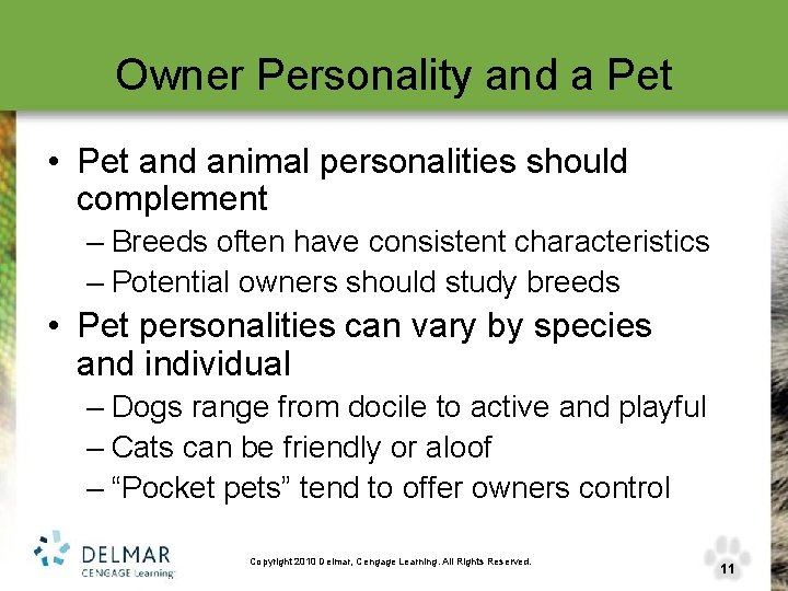 Owner Personality and a Pet • Pet and animal personalities should complement – Breeds