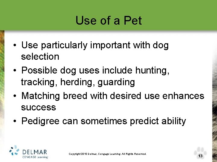 Use of a Pet • Use particularly important with dog selection • Possible dog