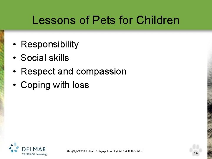 Lessons of Pets for Children • • Responsibility Social skills Respect and compassion Coping