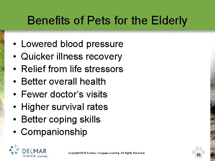 Benefits of Pets for the Elderly • • Lowered blood pressure Quicker illness recovery