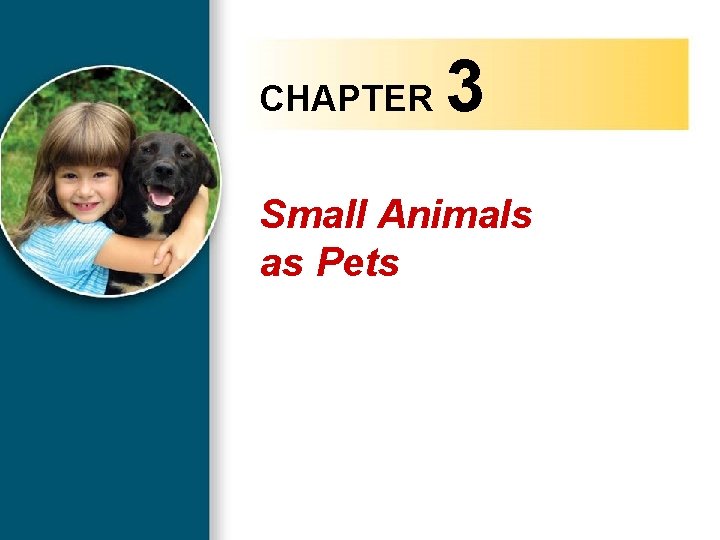 CHAPTER 3 Small Animals as Pets Copyright 2010 Delmar, Cengage Learning. All Rights Reserved.