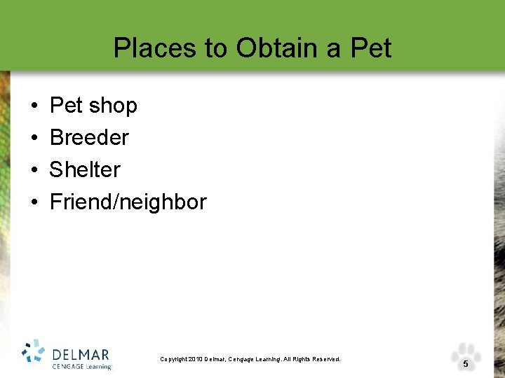 Places to Obtain a Pet • • Pet shop Breeder Shelter Friend/neighbor Copyright 2010