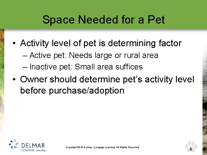 Space Needed for a Pet • Activity level of pet is determining factor –