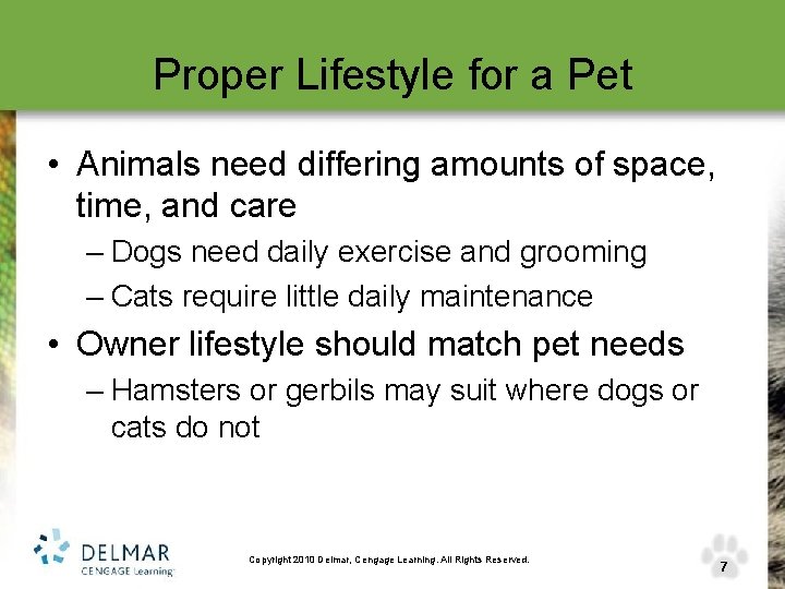 Proper Lifestyle for a Pet • Animals need differing amounts of space, time, and