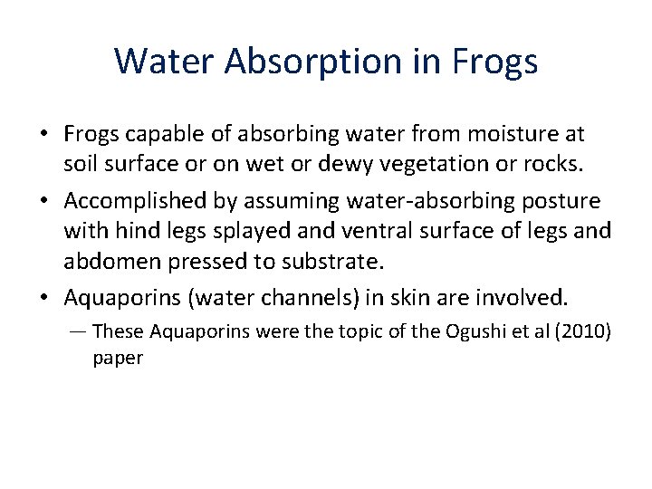 Water Absorption in Frogs • Frogs capable of absorbing water from moisture at soil