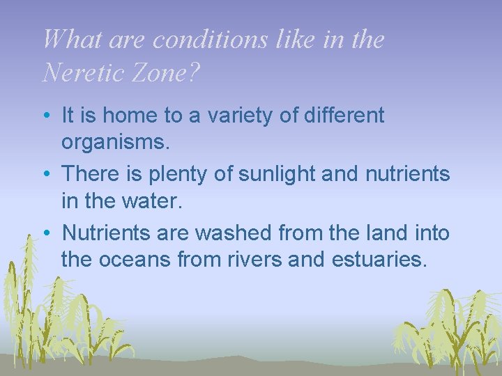 What are conditions like in the Neretic Zone? • It is home to a