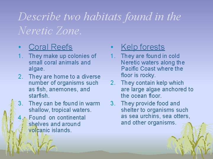 Describe two habitats found in the Neretic Zone. • Coral Reefs • Kelp forests