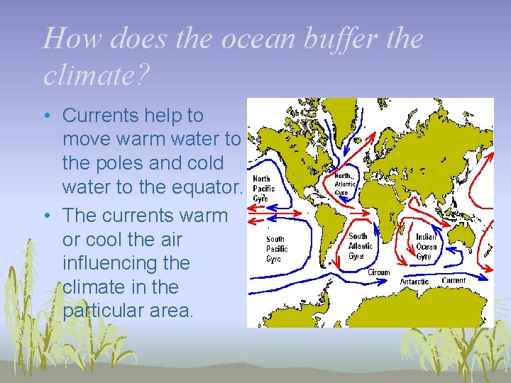 How does the ocean buffer the climate? • Currents help to move warm water