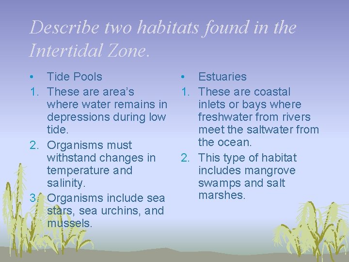 Describe two habitats found in the Intertidal Zone. • Tide Pools 1. These area’s