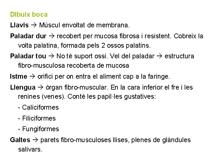 Dibuix boca Llavis Múscul envoltat de membrana. Paladar dur recobert per mucosa fibrosa i