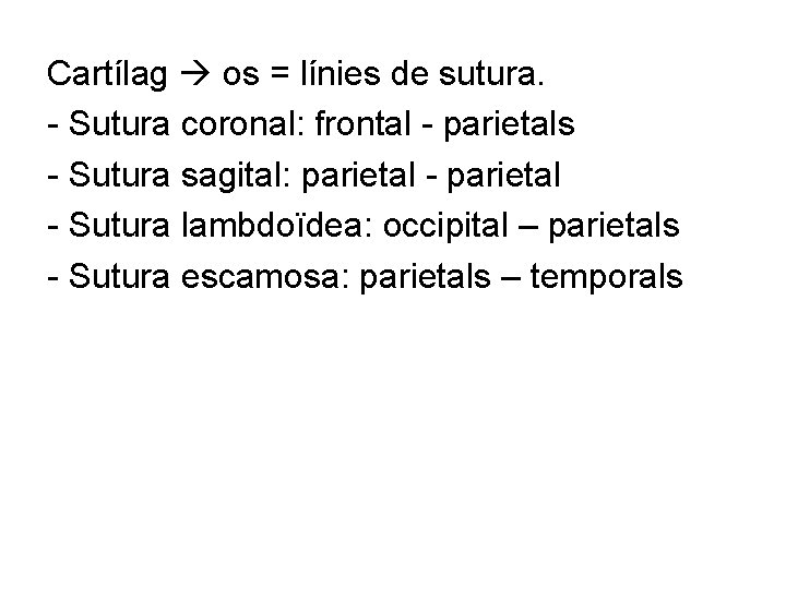 Cartílag os = línies de sutura. - Sutura coronal: frontal - parietals - Sutura