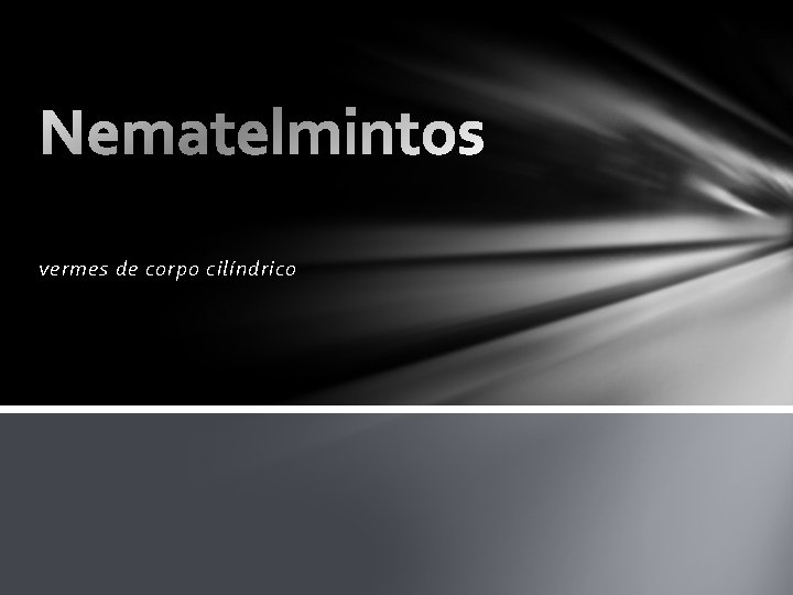 vermes de corpo cilíndrico 