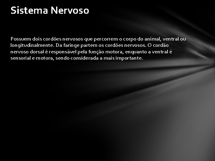 Sistema Nervoso Possuem dois cordões nervosos que percorrem o corpo do animal, ventral ou