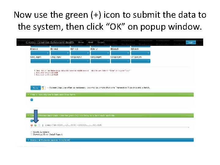 Now use the green (+) icon to submit the data to the system, then
