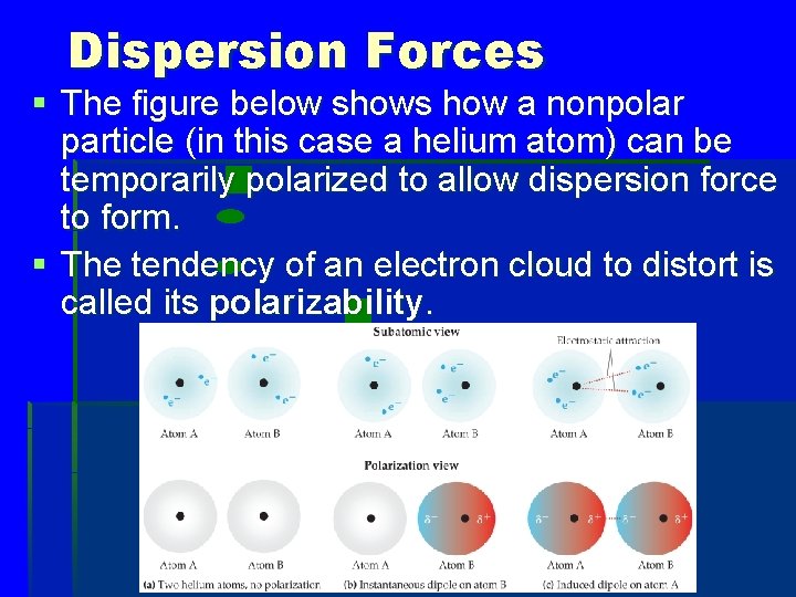 Dispersion Forces § The figure below shows how a nonpolar particle (in this case